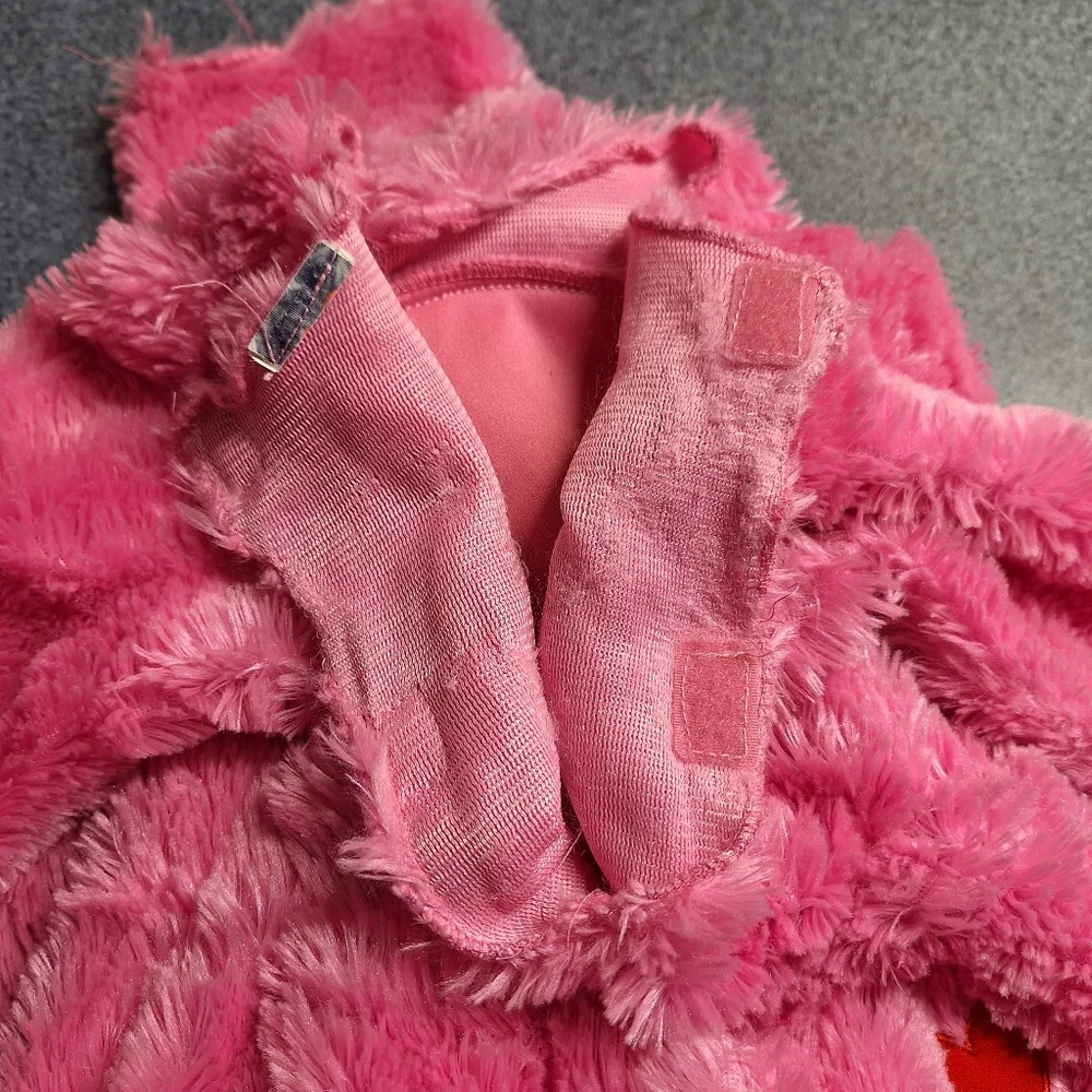 Care Bears step into